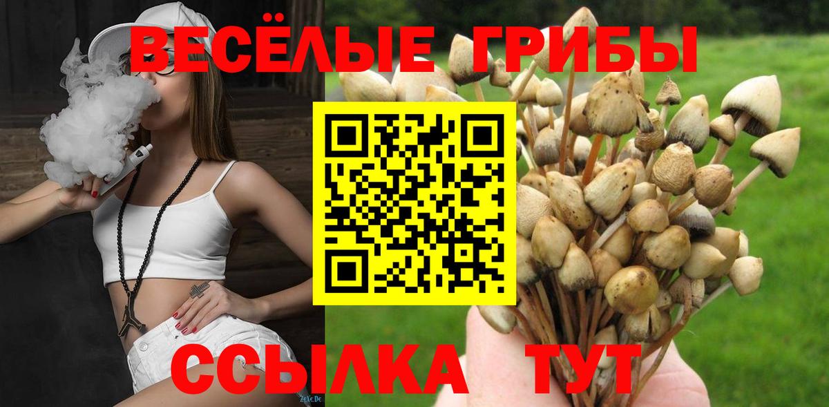 Галлюциногенные грибы Psilocybe Азов