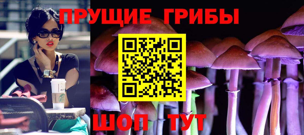 Псилоцибиновые грибы Psilocybe  Вход с VPN  Псилоцибиновые грибы Psilocybine cubensis  Азов 